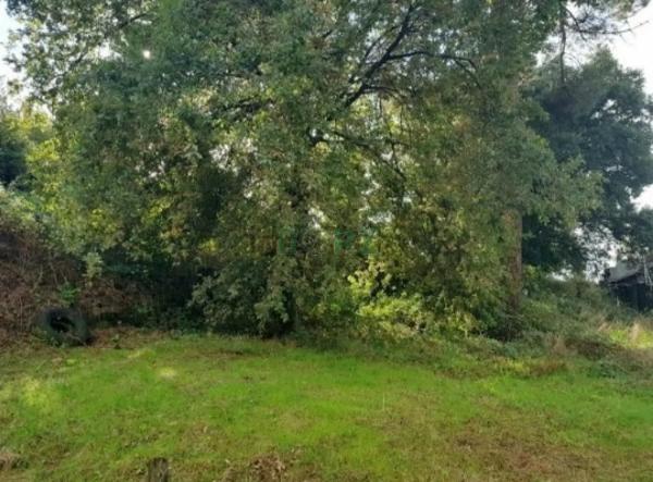 Terreno en calle do Paraíso