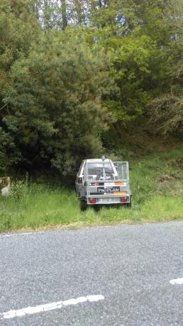Terreno en camino Poligono 8, parcela 156 s/n