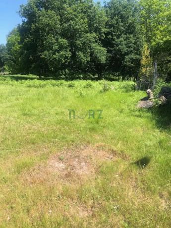 Terreno en camino de Bouzas