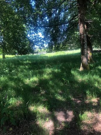 Terreno en camino de Bouzas