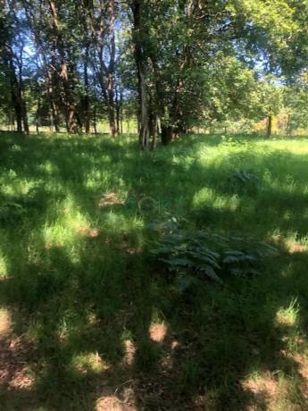 Terreno en camino de Bouzas