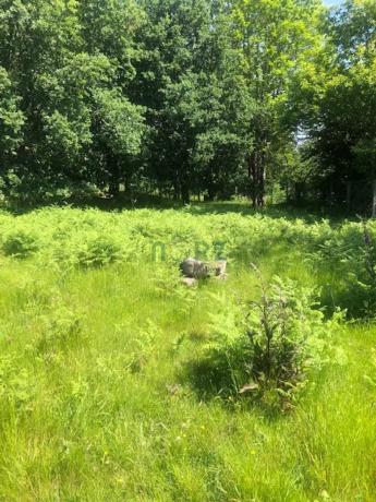 Terreno en camino de Bouzas