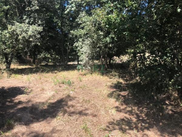 Terreno en Pereiro de Aguiar
