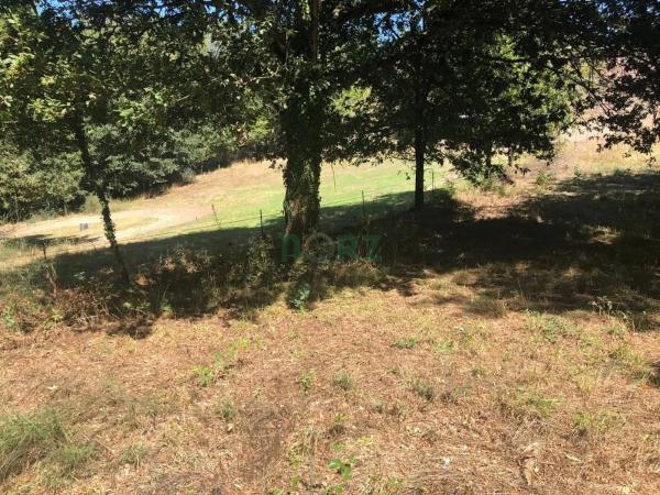 Terreno en Pereiro de Aguiar