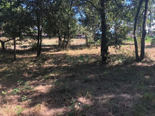 Terreno en Pereiro de Aguiar