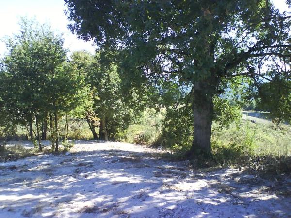 Terreno en Nogueira de Ramuin