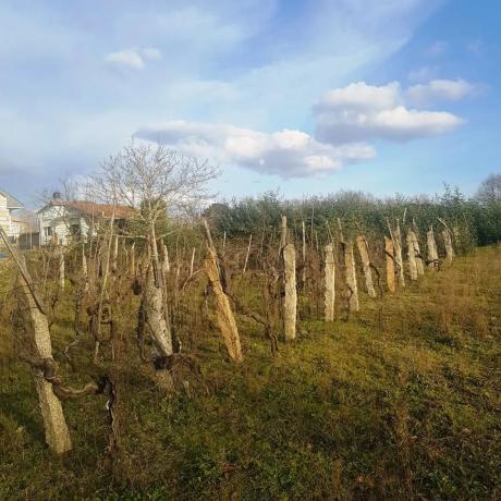 Terreno en camino de Penedo