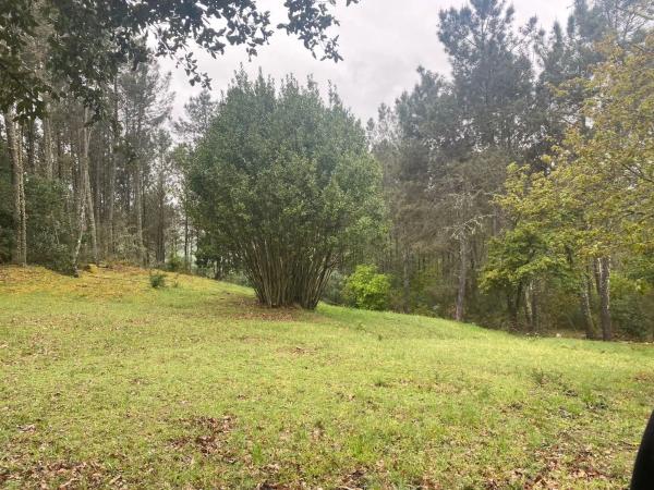 Terreno en Pereiro de Aguiar