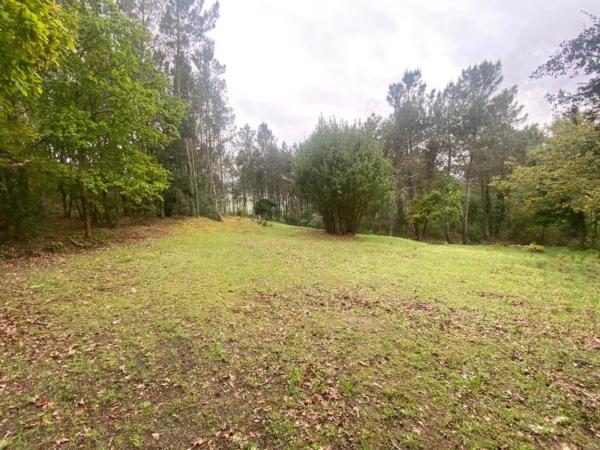 Terreno en Pereiro de Aguiar