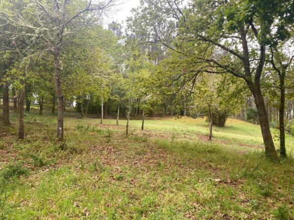 Terreno en Pereiro de Aguiar