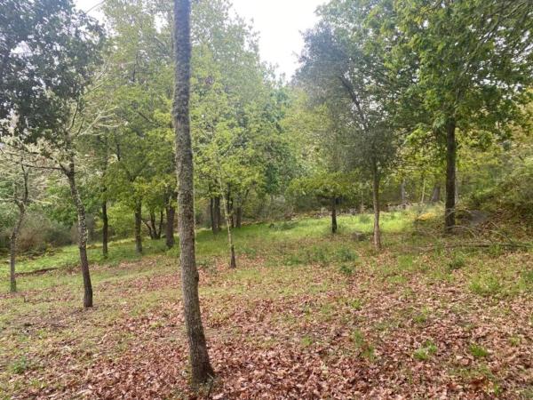 Terreno en Pereiro de Aguiar