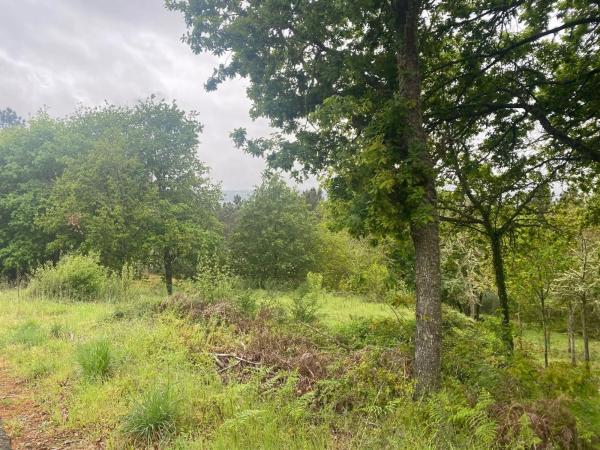 Terreno en Pereiro de Aguiar