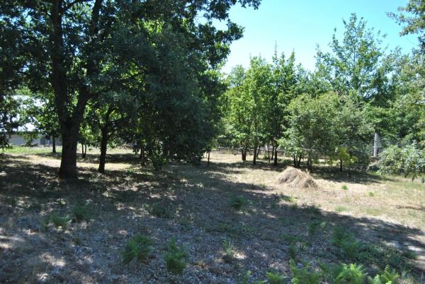 Terreno en Aldea Vilar, 145