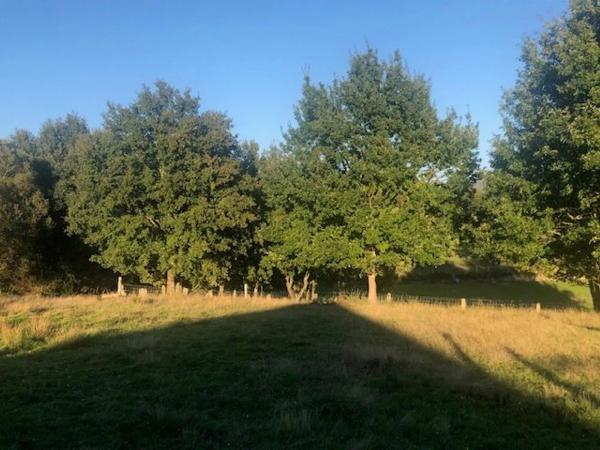 Terreno en Lugar Malburguete, 45