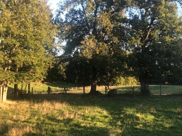 Terreno en Lugar Malburguete, 45