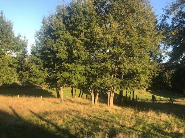 Terreno en Lugar Malburguete, 45