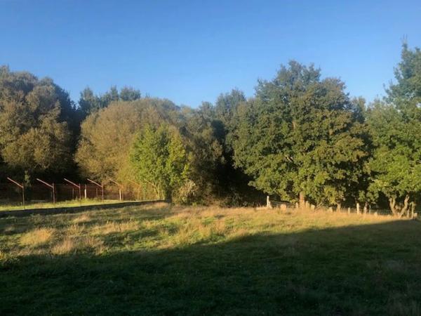 Terreno en Lugar Malburguete, 45