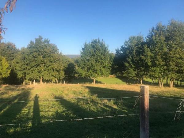 Terreno en Lugar Malburguete, 45