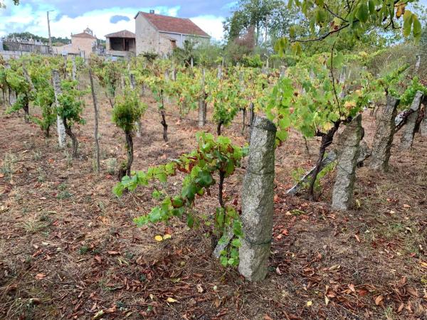 Terreno en Santa Comba suelo poligono 51, parcela 414, 414