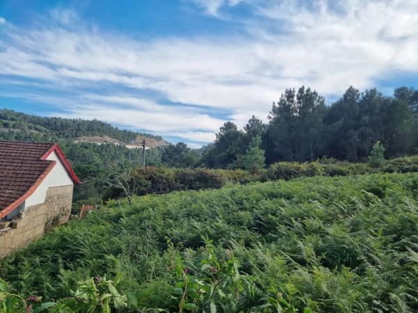 Terreno en a Cal, 70