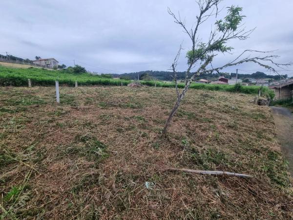 Terreno en a Cal, 70