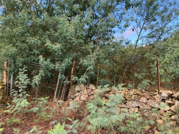 Terreno en Santa Comba suelo poligono 51, parcela 414, 414