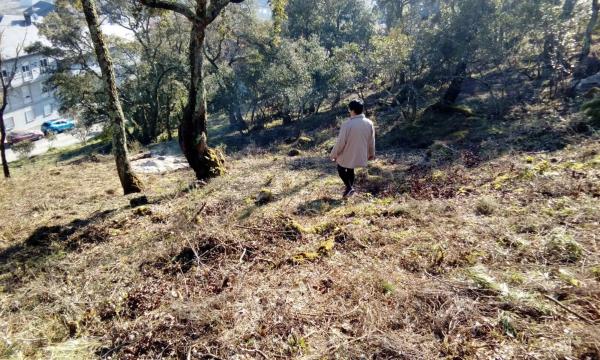 Terreno en Caseriu o Piñeiral, 14
