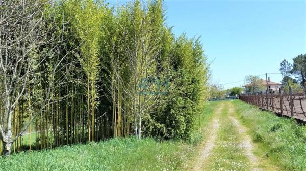 Terreno en Vilamarin