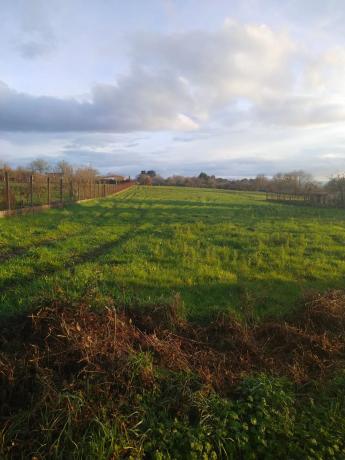 Terreno en Coles, Meriz s/n Meriz