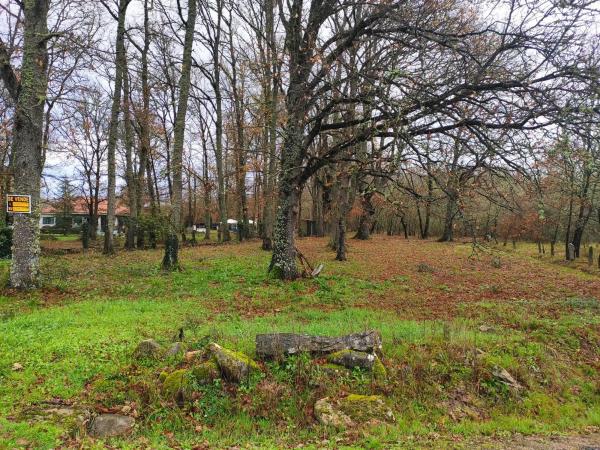 Terreno en plaza Ayuntamiento, 1