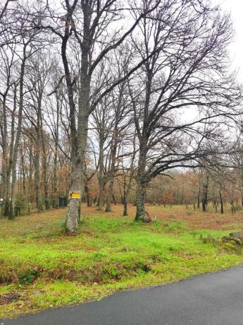 Terreno en plaza Ayuntamiento, 1