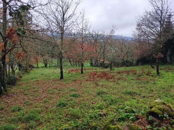 Terreno en plaza Ayuntamiento, km 1