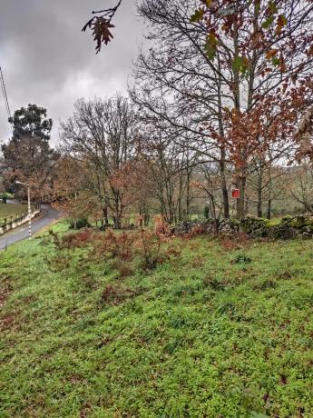 Terreno en plaza Ayuntamiento, km 1