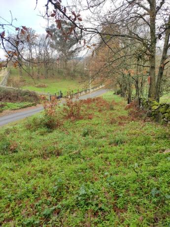 Terreno en plaza Ayuntamiento, km 1