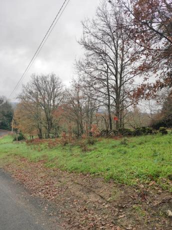 Terreno en plaza Ayuntamiento, km 1