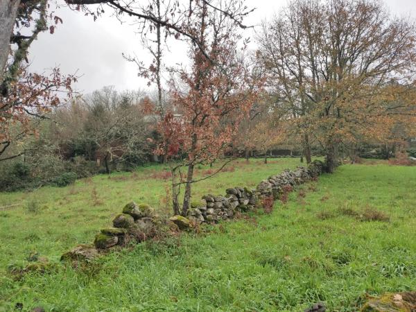 Terreno en plaza Ayuntamiento, km 1