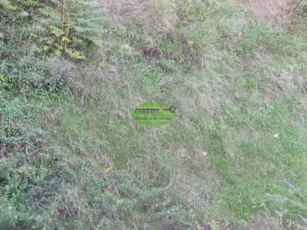 Terreno en Pereiro de Aguiar