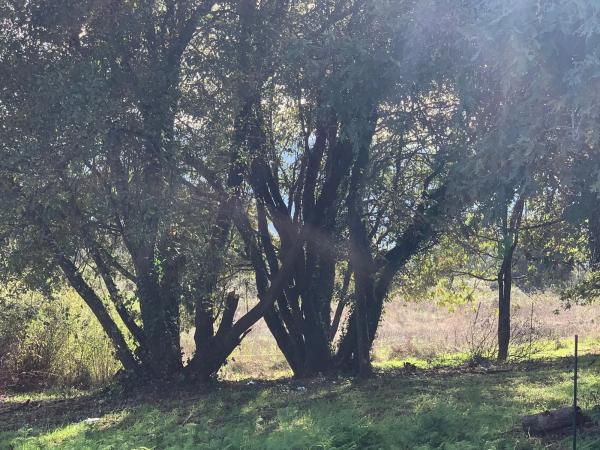 Terreno en carretera Paradela s/n