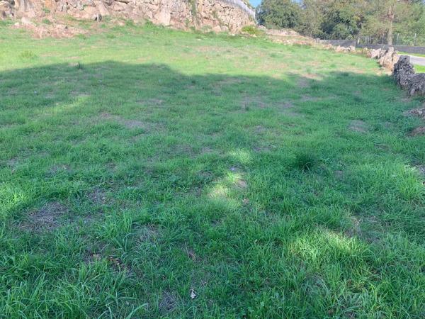 Terreno en carretera Paradela s/n