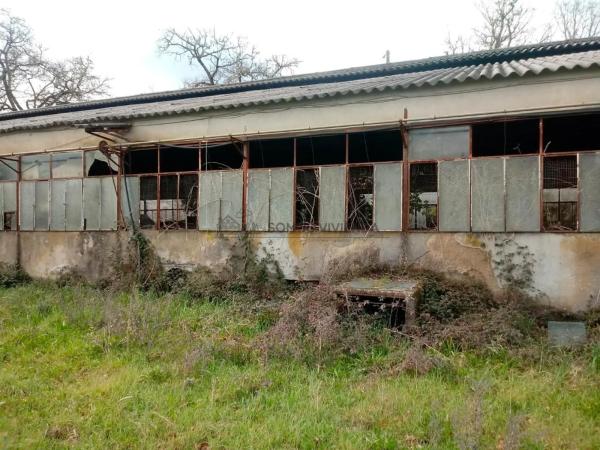 Terreno en San Cibrao das Viñas