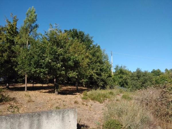 Terreno en Lugar Cachamuiña