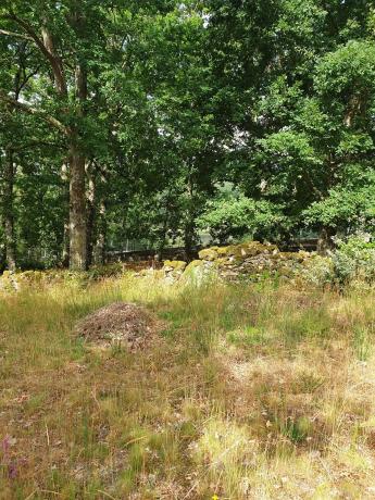 Terreno en Vilar s/n