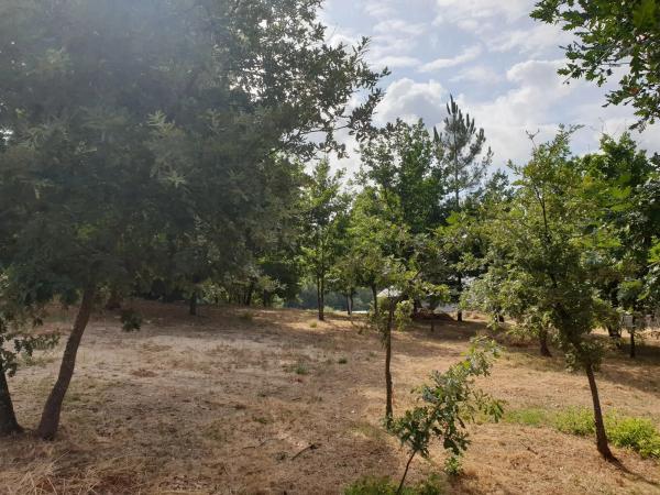Terreno en Vilar s/n