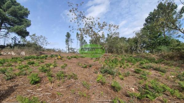 Terreno en Nogueira de Ramuin