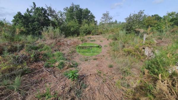 Terreno en Nogueira de Ramuin