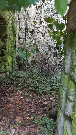 Terreno en Aldea Vilaboa, 1