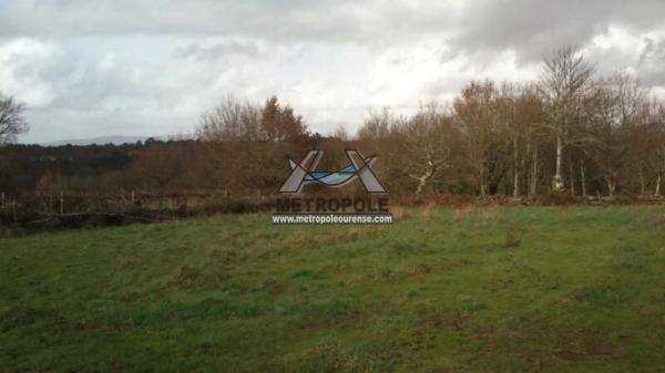 Terreno en Amoeiro