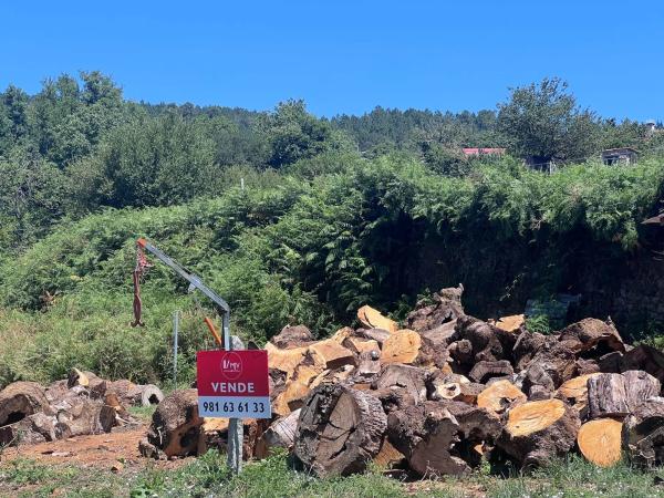 Terreno en Cinconogueiras s/n