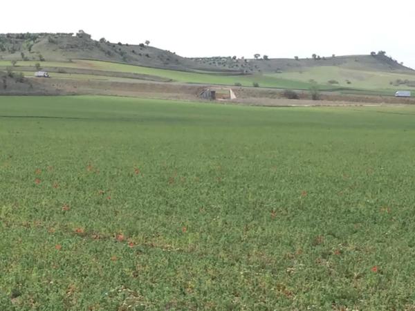 Terreno en calle Valdelayegua, 88