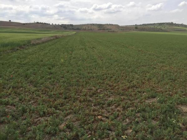 Terreno en calle Valdelayegua, 88